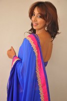 Sanjana Spicy Saree Photos
